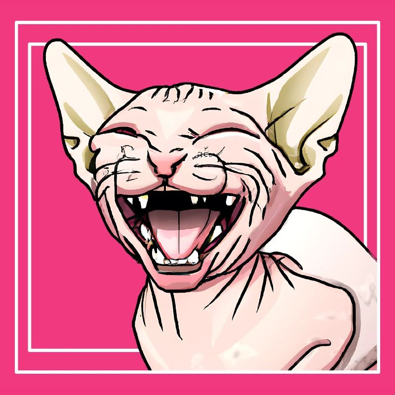 Le chat Sphynx rit