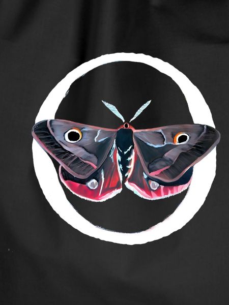 Gouache painting: moth