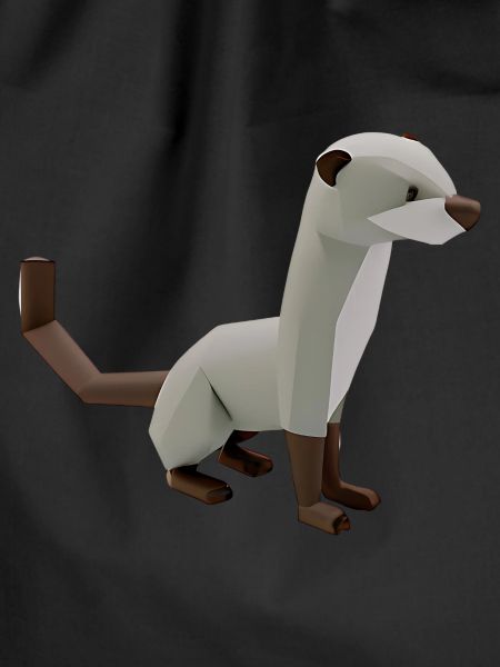 Polygon ferrets