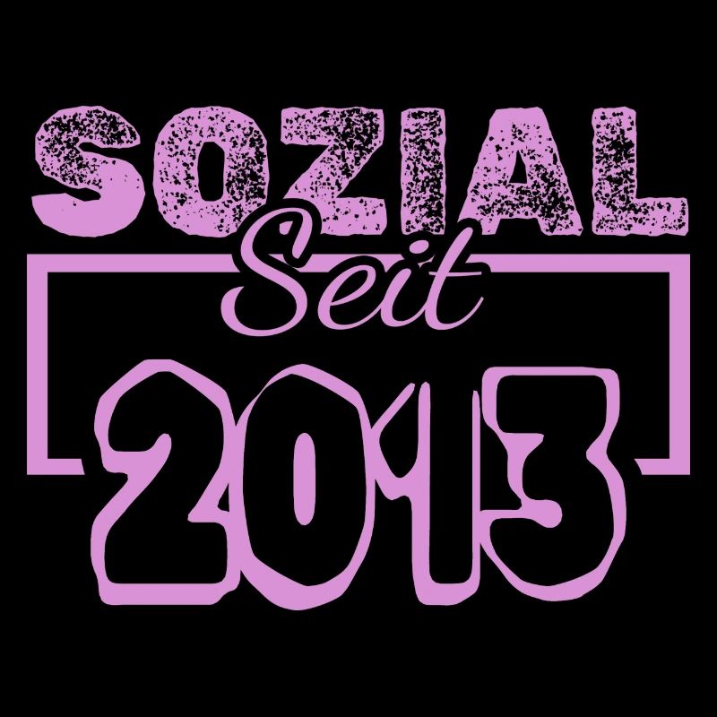 seit 2013