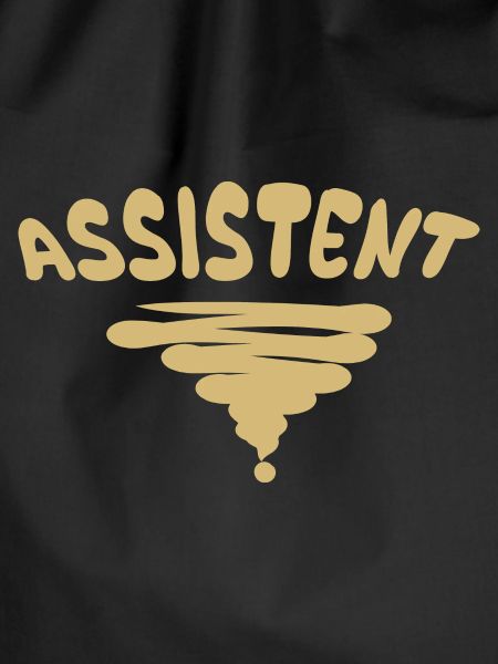 Beruf Assistent