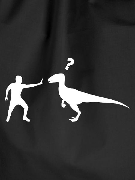Velociraptor Dinosaurs