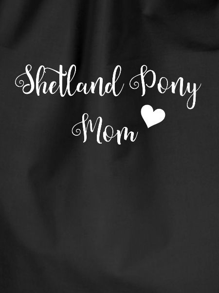Shetland pony