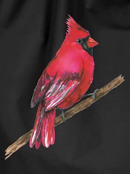 Roter Kardinal
