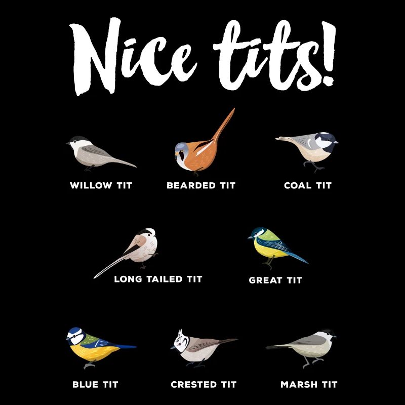 Nice Tits Ornithology Bird watching Gift