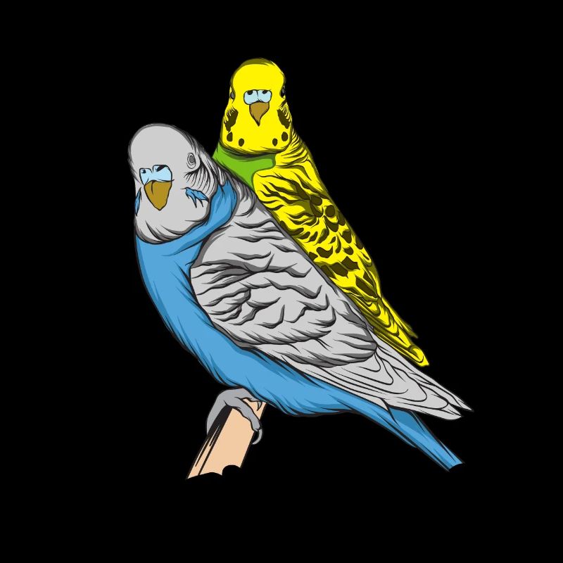 Budgerigar