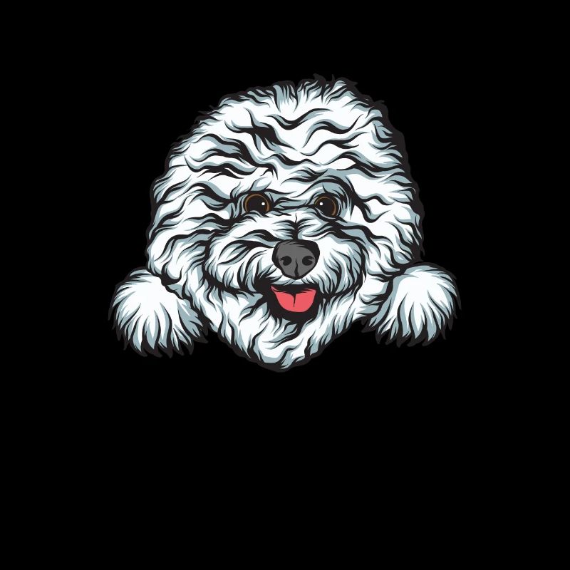 Bichon Frise