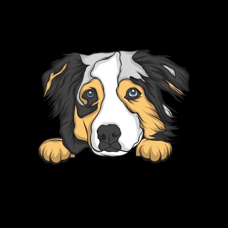 Australian Shepherd