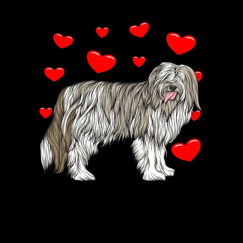 Bearded Collie