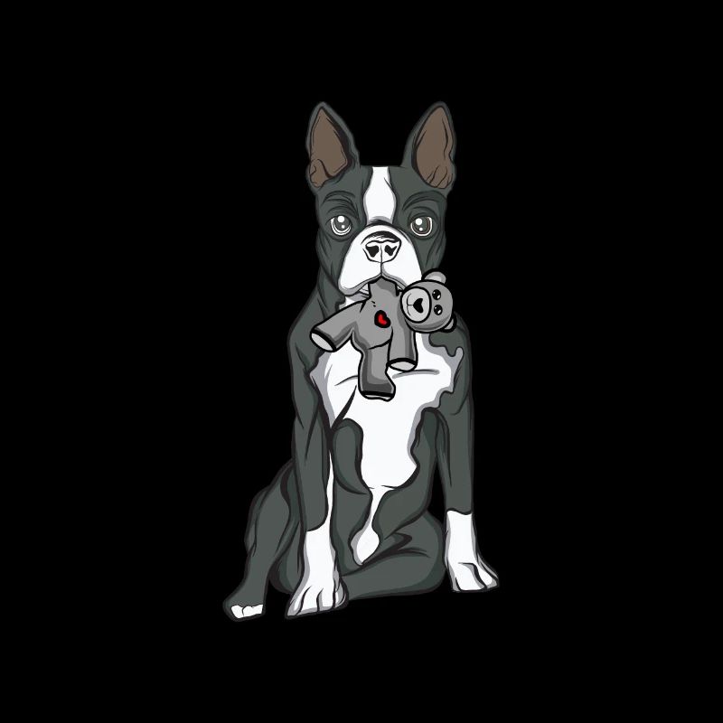 Boston Terrier