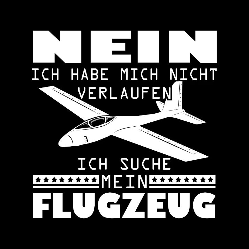 Modellflugzeug Modellfliegen Modellflieger