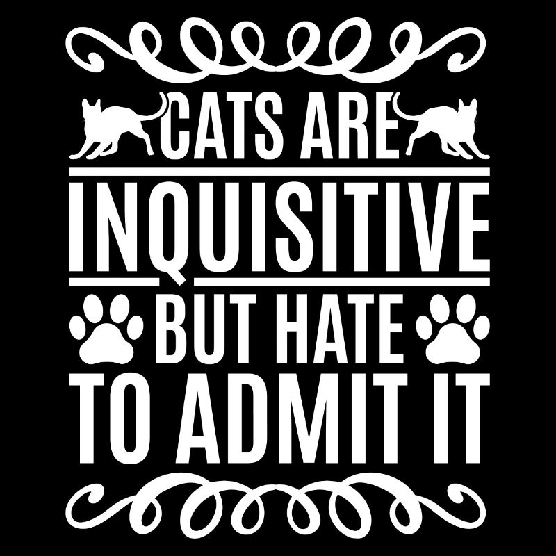 Cats are curious