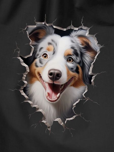 Australian Shepherd Owner - Perfect Aussie