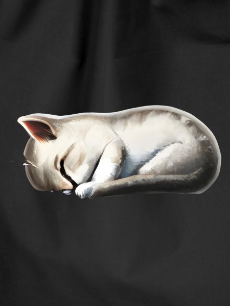 Sleeping cat