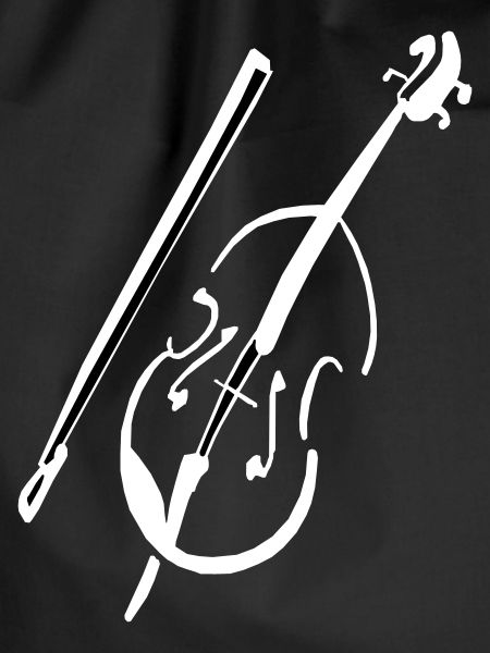 Violin / fiddle