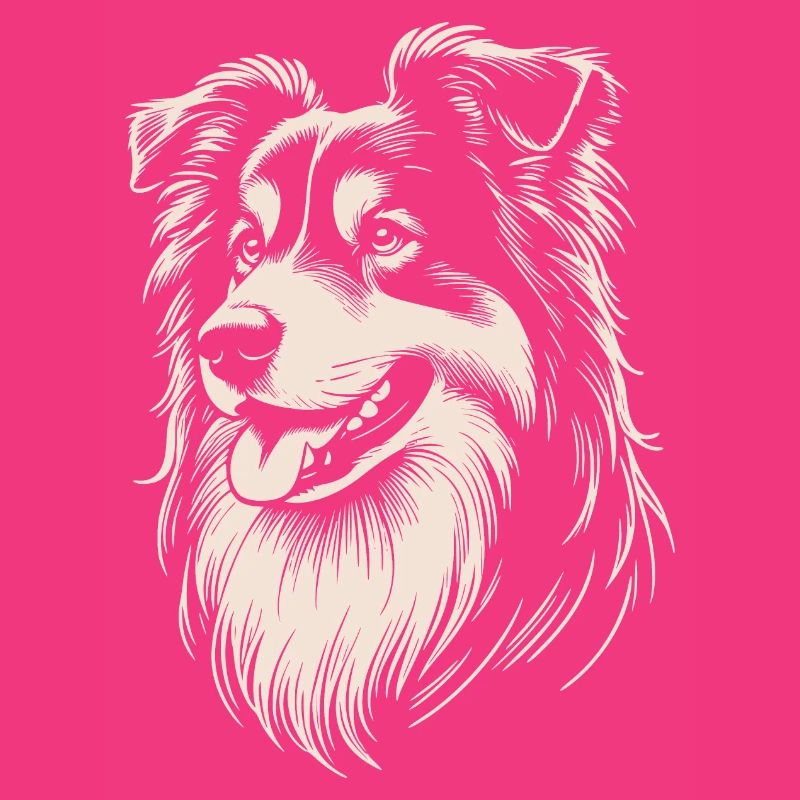 Australian Shepherd Eigenschaften