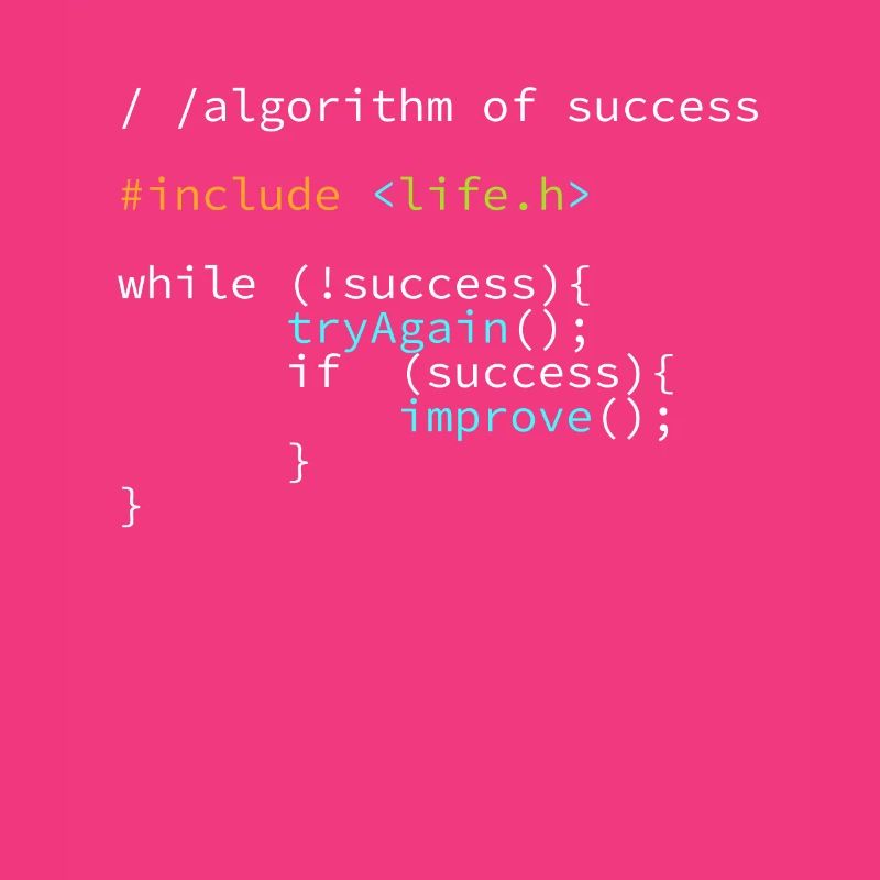 Développeur Programmeur succès Coder