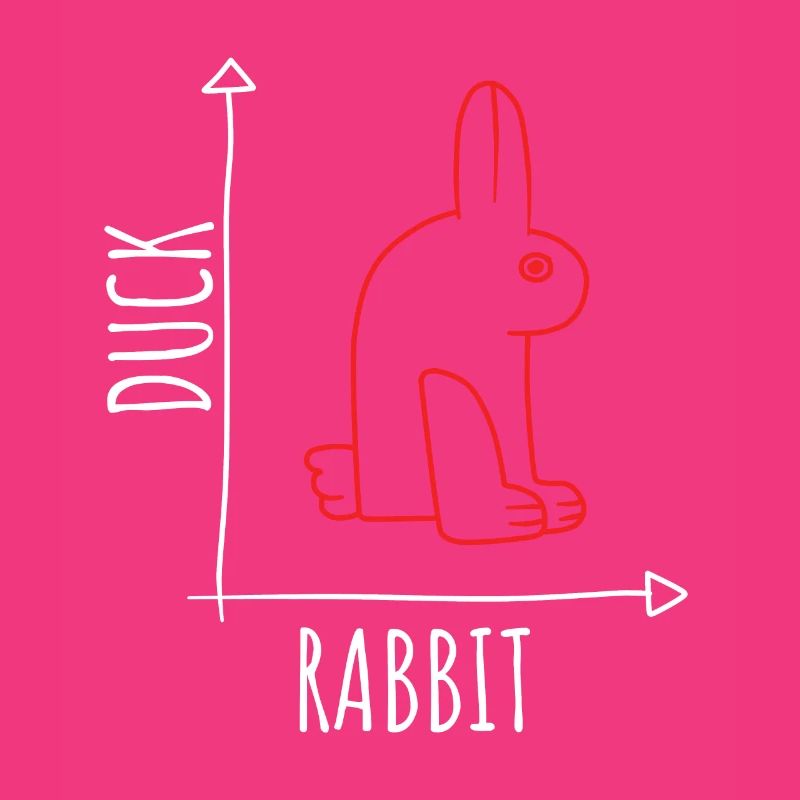 Optical Illusion Duck Rabbit Illusion Wittgenstein