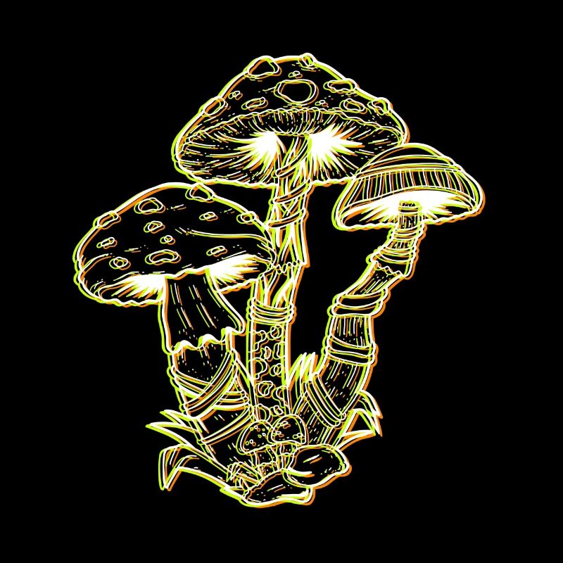 LSD Party Drogen Pilze Acid