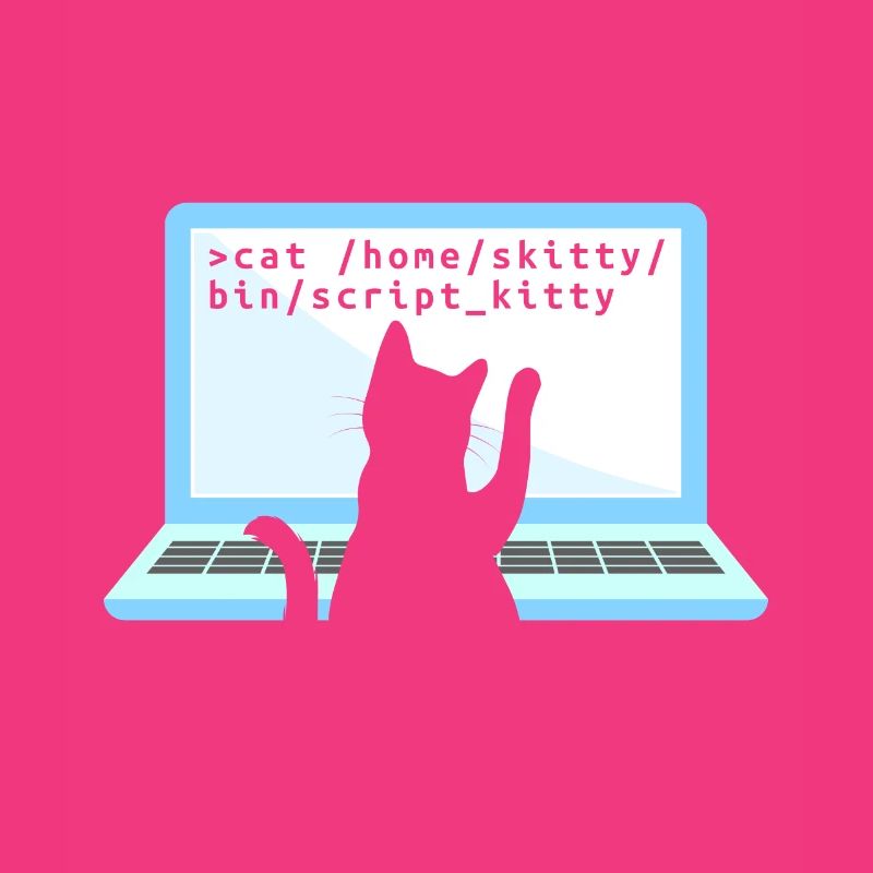 Chat comme codeur codeur propriétaire de chat