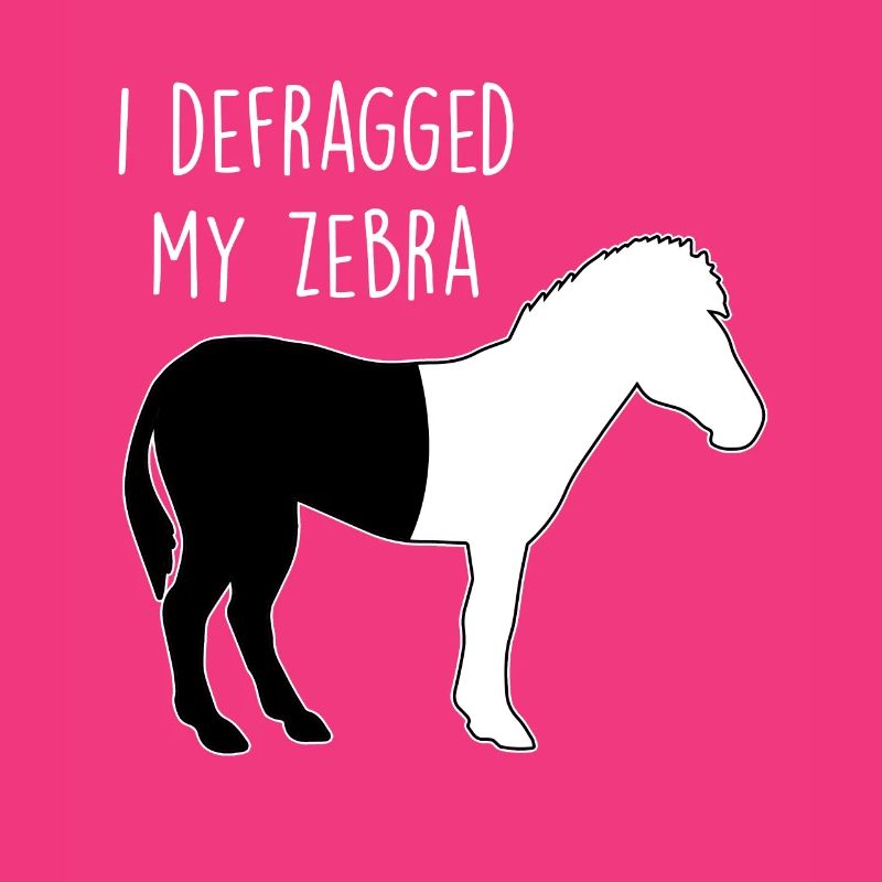 I defragged my Zebra Coder Computer Scientist Hacker