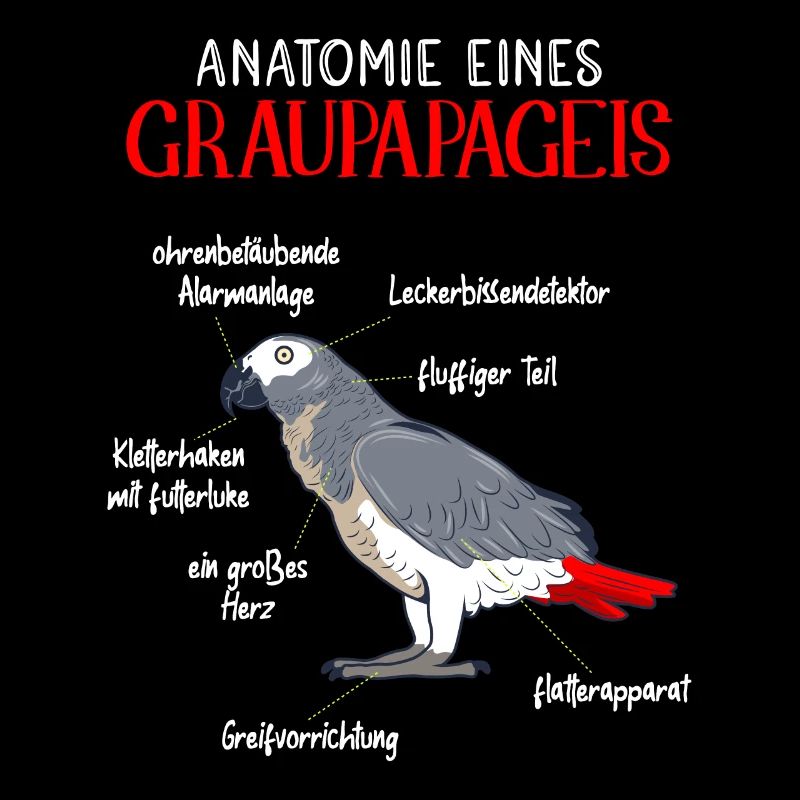 Anatomie eines Graupapageis Vogel Vogelhalter