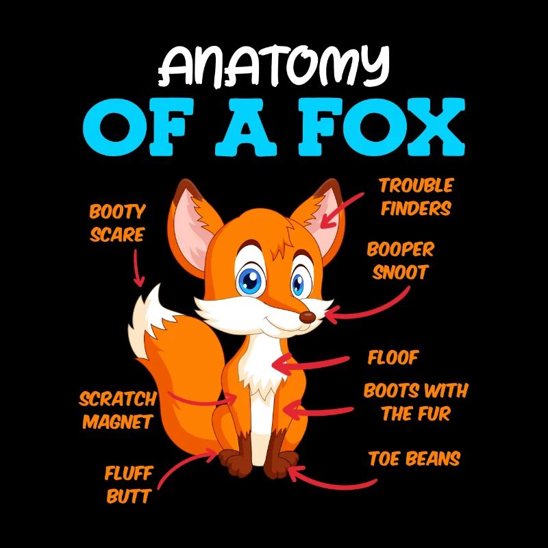 Anatomie eines Fuches Fuchs Kinder