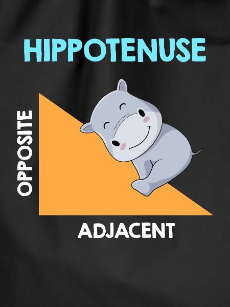 Hippotenuse Algebra Analysis