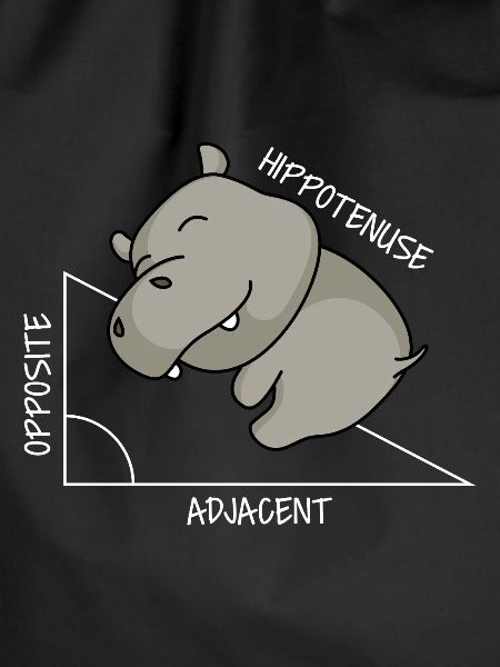 Hippotenuse