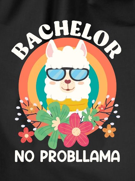 Bachelor Abschluss NO Probllama