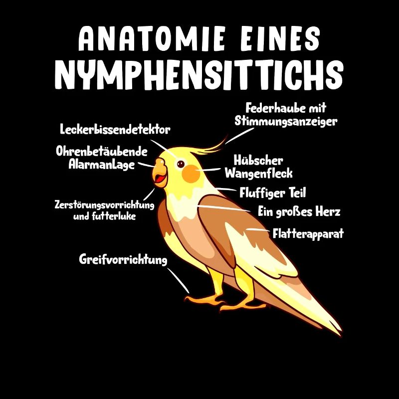 Anatomie eines Nymphensittichs Vogelfreund
