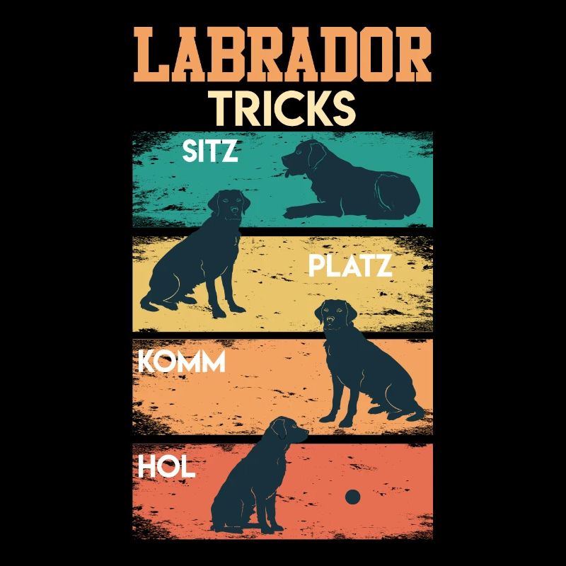 Labrador Tricks Sture Labrador Hunde Labrador