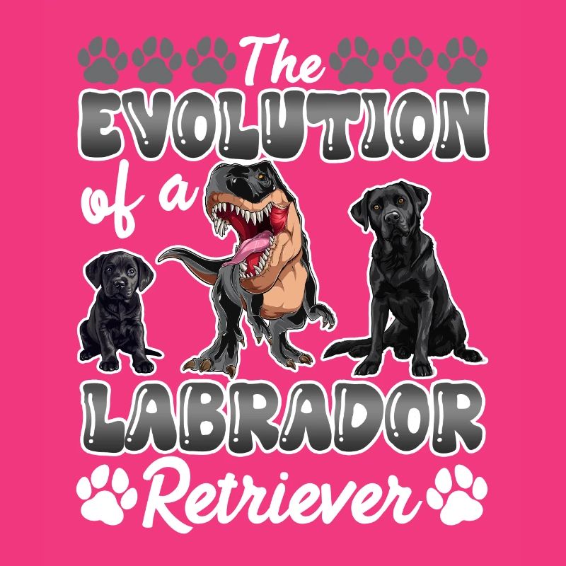 Hundebesitzer DIE EVOLUTION EINES LABRADOR