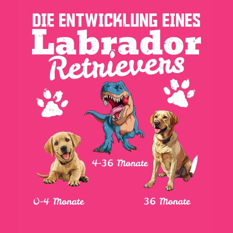 Hundebesitzer DIE EVOLUTION EINES LABRADOR