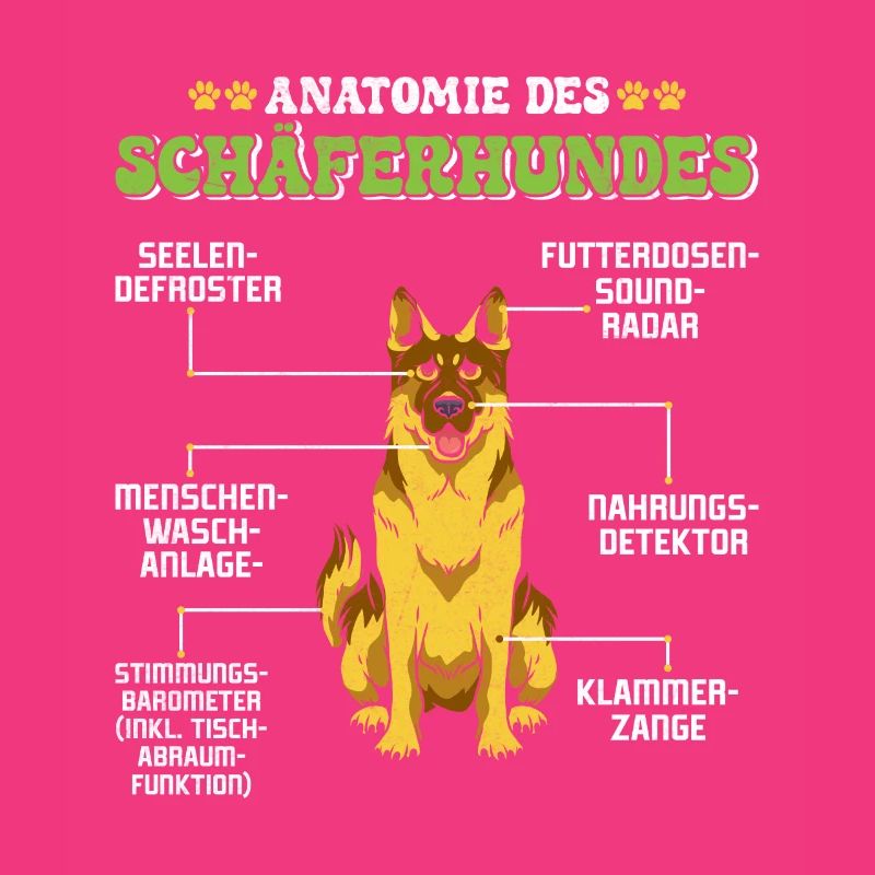 Deutscher Schäferhund ANATOMIE DES SCHÄFERHUNDES