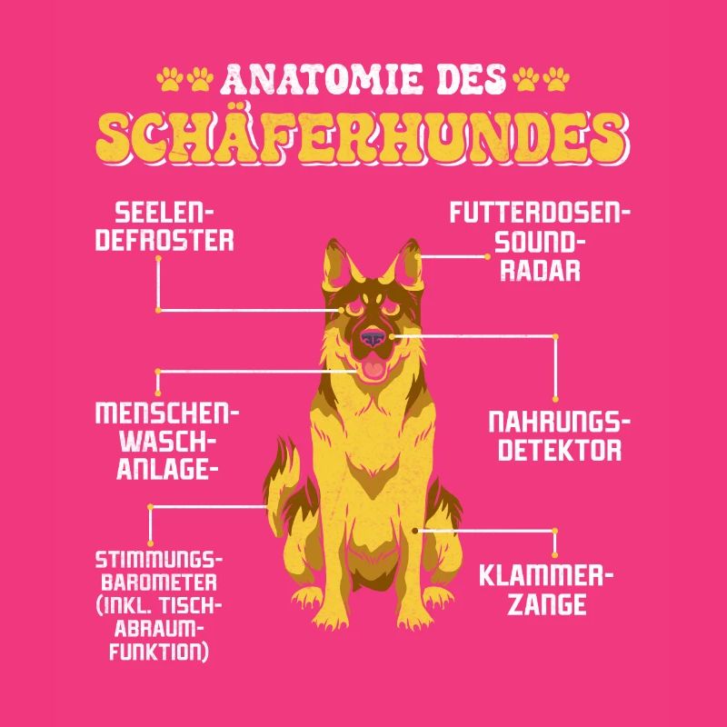 Deutscher Schäferhund ANATOMIE DES SCHÄFERHUNDES