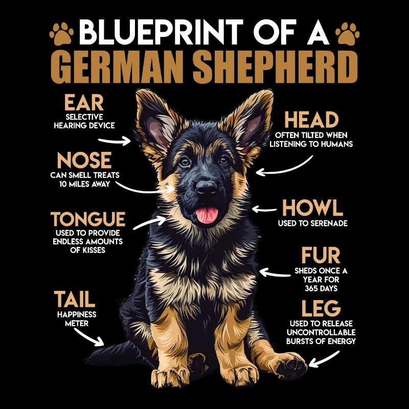 German Shepherd BLUEPRINT OF A GERMAN SHEPHERD Funny
