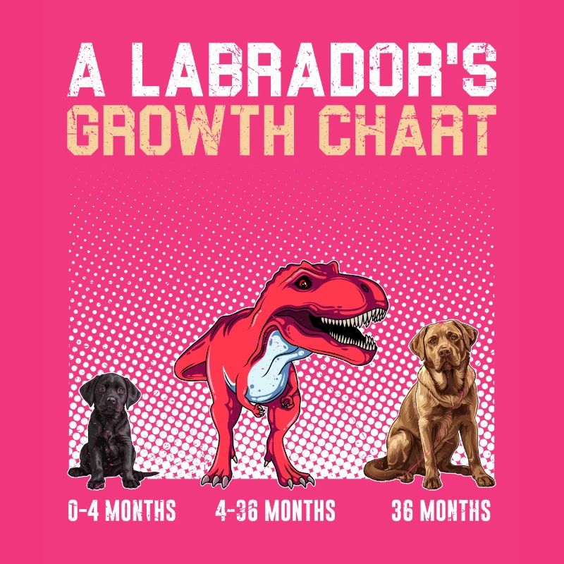 Labrador GROWTH CHART Labrador Owner Funny