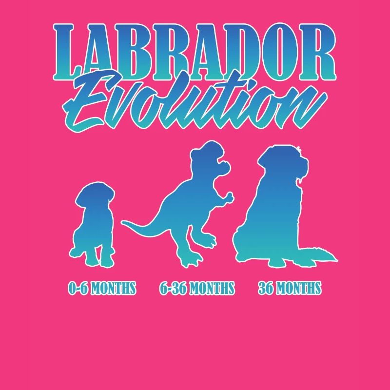 LABRADOR EVOLUTION Labrador Owner Funny