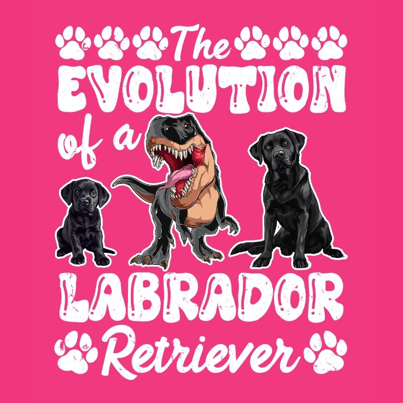 Hundebesitzer DIE EVOLUTION EINES LABRADOR