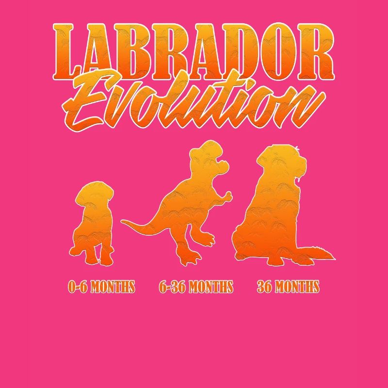 LABRADOR EVOLUTION Labrador Propriétaire Drôle