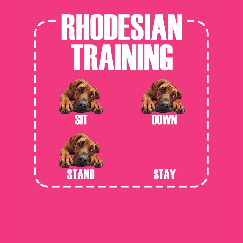 Rhodesian Training Propriétaire de Rhodesian Ridgeback