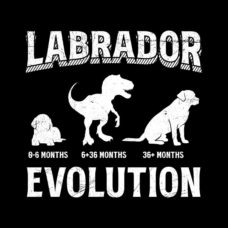 Labrador EVOLUTION Labrador Liebhaber Lustiges