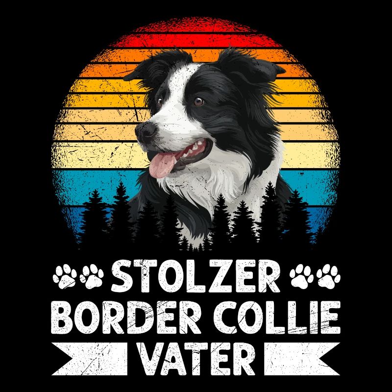 Border Collie STOLZER BORDER COLLIE VATER