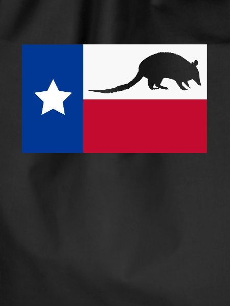 Armadillo Gift Texas