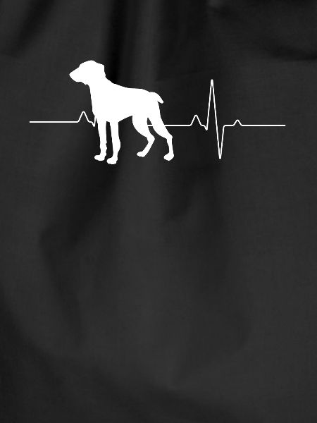 Weimaraner