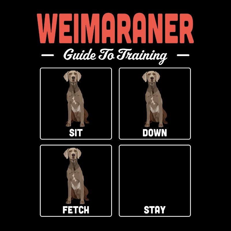 Weimaraner