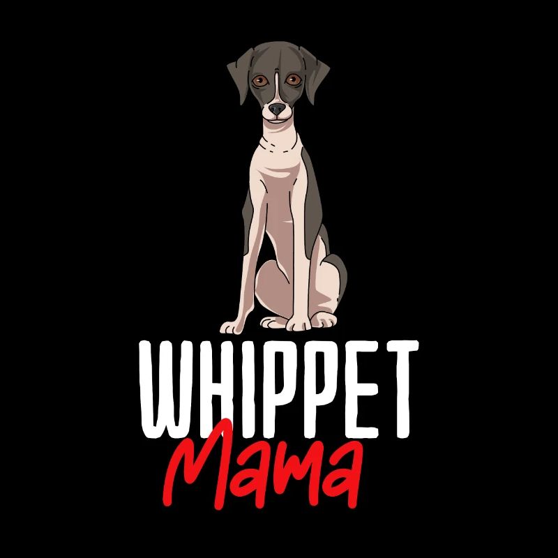 Whippet