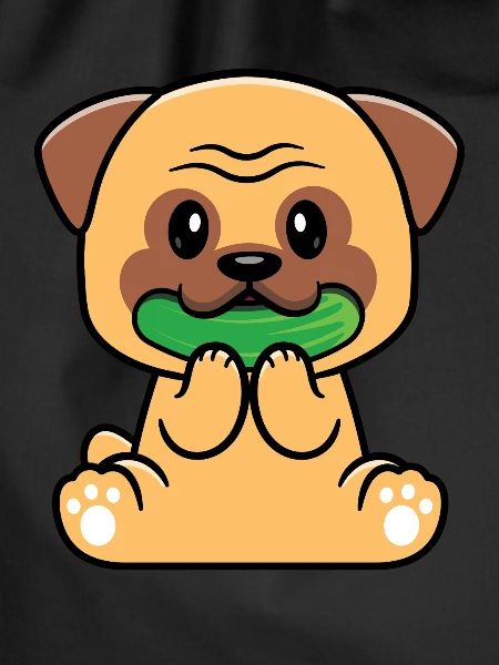 Zucchini