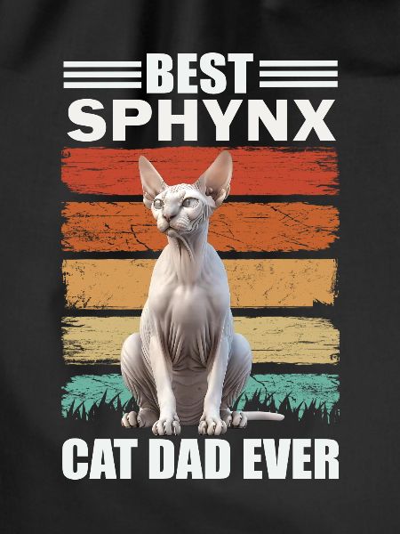 Sphynx Papa Cat